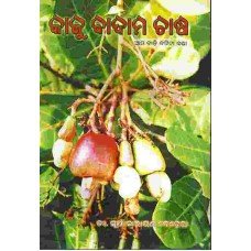 Cashew Cultivation ( Kaju Badam Chasa)