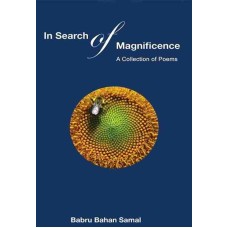In Search Of Magnificence