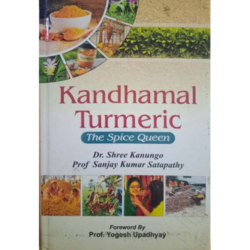 Kandhamal Turmeric