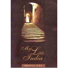 My Little India
