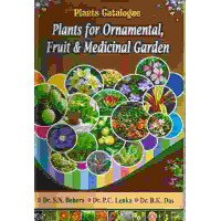 Plants For Ornamental Fruit And Medicinal Garden