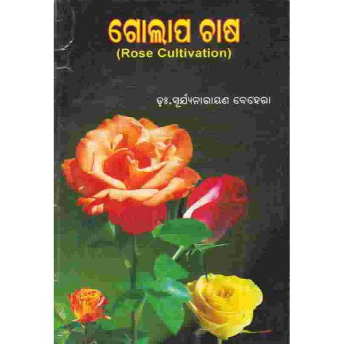 Rose Cultivation (Golapa Phula Chasa)