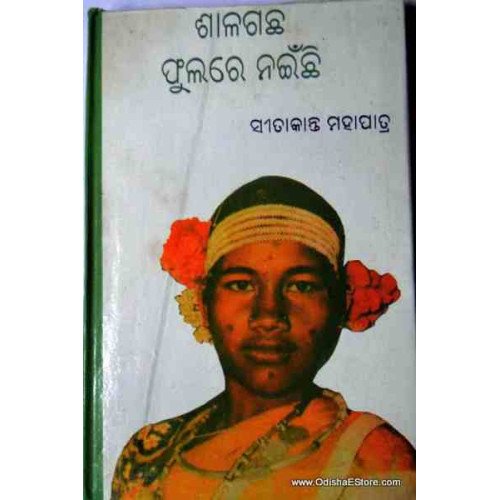 Salaghacha Fulare Naeechi