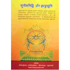 Shunyeksidhi Aur Dwuyankpaddhati