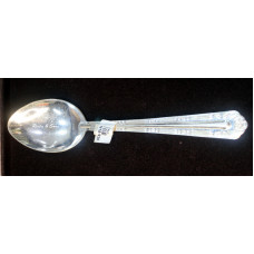 Silver Spoon 17 Cms 1549
