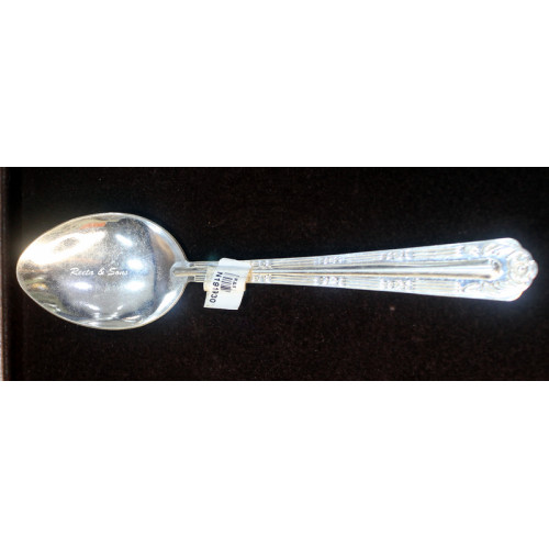 Silver Spoon 17 Cms 1549