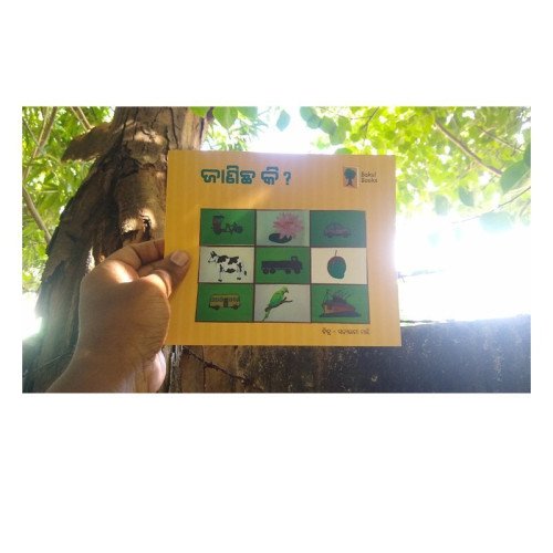 Janicha Ki First Book