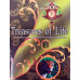 Treasures of Life  Class  8