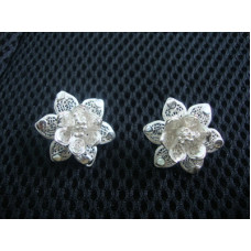Ear Ring 9667841