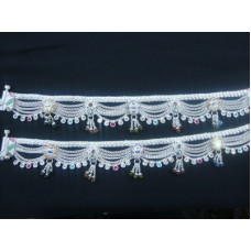 Payal 2677343