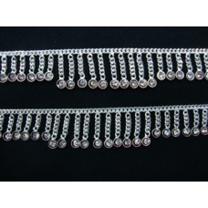 Payal 3748565