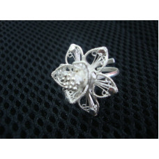 Finger Ring 5468387