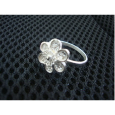 Finger Ring 7325923