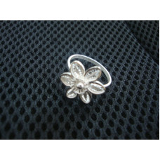 Finger Ring 2810938