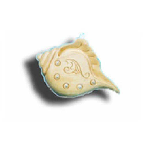 Conch Shell